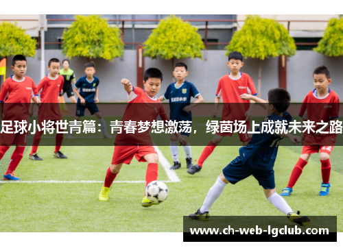 足球小将世青篇：青春梦想激荡，绿茵场上成就未来之路
