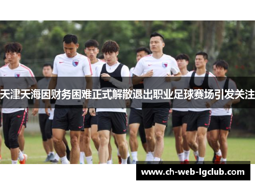 天津天海因财务困难正式解散退出职业足球赛场引发关注 天津天海因财务困难正式解散退出职业足球赛场引发关注