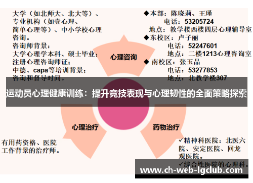 运动员心理健康训练：提升竞技表现与心理韧性的全面策略探索