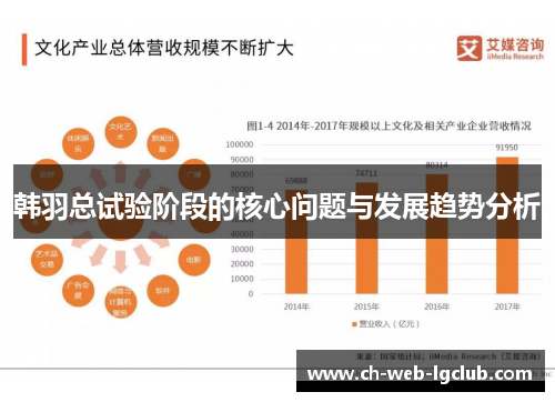 韩羽总试验阶段的核心问题与发展趋势分析