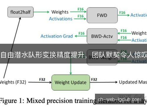 自由潜水队形变换精度提升，团队默契令人惊叹